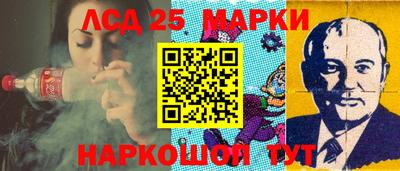 крисы Кулебаки