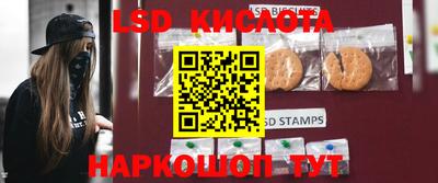 крисы Кулебаки