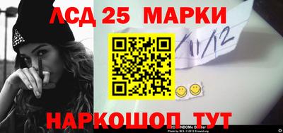 крисы Кулебаки