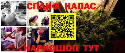 индика Кунгур