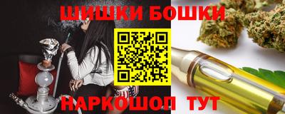 крисы Кулебаки