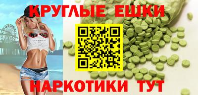 крисы Кулебаки