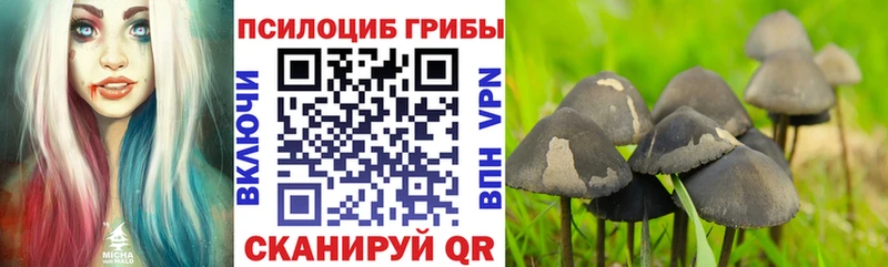 Галлюциногенные грибы ЛСД Сызрань