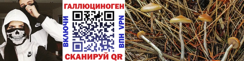 Галлюциногенные грибы MAGIC MUSHROOMS Сызрань