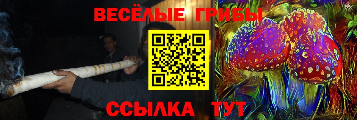 Галлюциногенные грибы прущие грибы  Галлюциногенные грибы прущие грибы  Сызрань  наркотики  Вход с VPN 